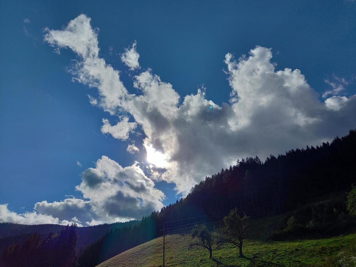 Gruenjuwel * Himmelberg