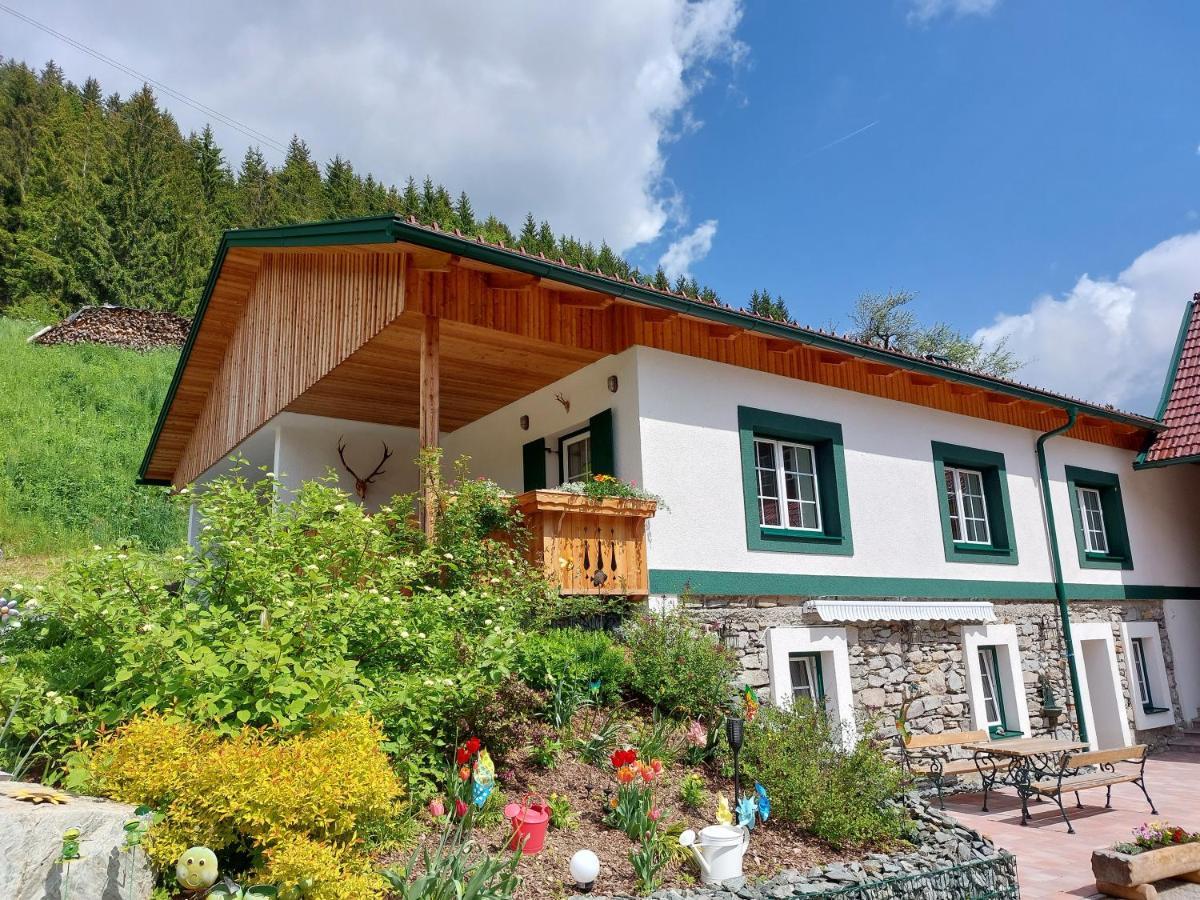 Gruenjuwel Apartment Himmelberg
